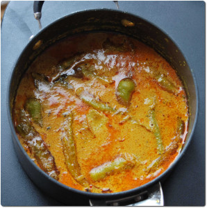 mirchi-salan2